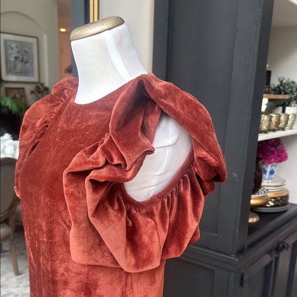 Elegant Rust Ribbed Velvet Top with Ruffled Sleeves - Picture 3 of 3